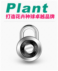 打造花卉種球第一品牌