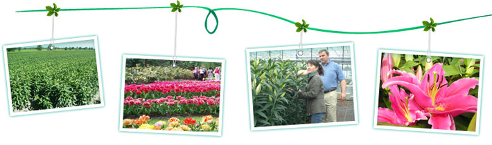 北京圃朗特公園藝有限公司