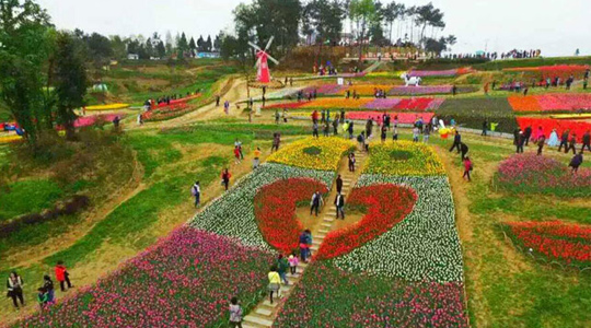 南湖公園-圃朗特客戶案例