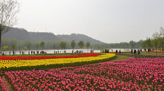 三門峽公園-圃朗特客戶案例
