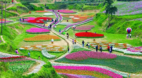 南湖公園-圃朗特客戶案例