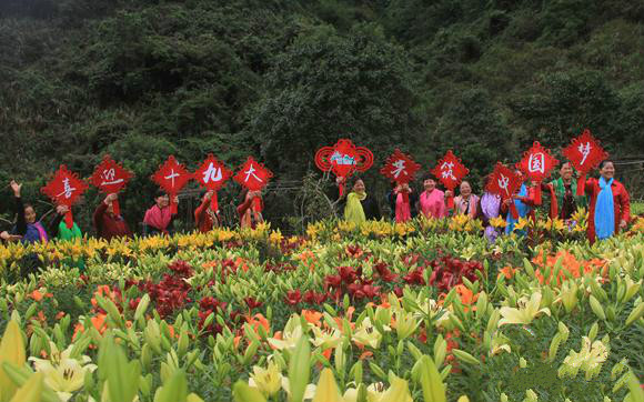 大批賞花游客暢游景區(qū)