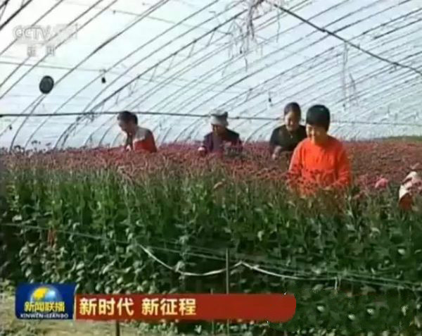 鮮切花