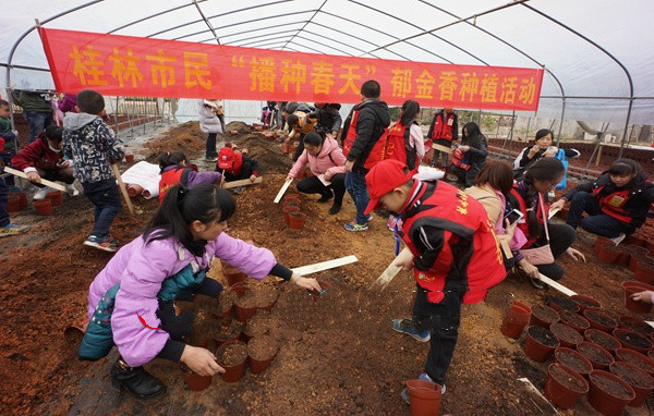 親手體驗(yàn)栽種郁金香