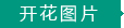 開(kāi)花圖片