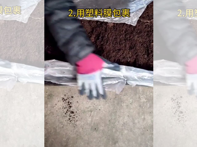 應(yīng)該怎樣儲存百合種球