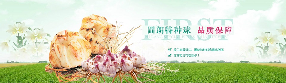 圃朗特種球 品質(zhì)優(yōu)良